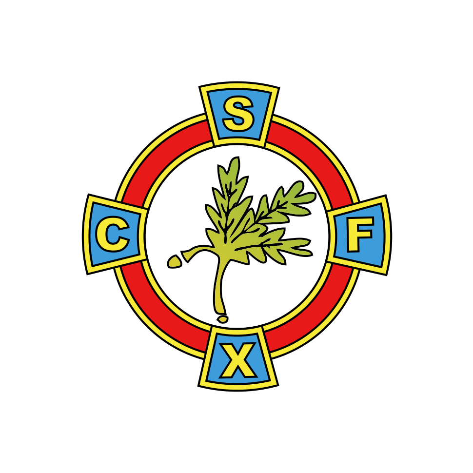Escudo Colegio San Francisco de Xabier